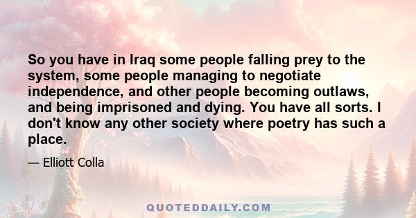 So you have in Iraq some people falling prey to the system, some people managing to negotiate independence, and other people becoming outlaws, and being imprisoned and dying. You have all sorts. I don't know any other