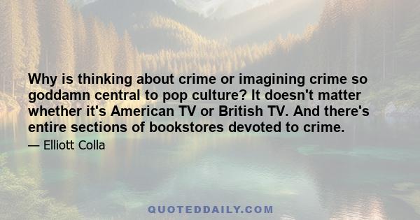 Why is thinking about crime or imagining crime so goddamn central to pop culture? It doesn't matter whether it's American TV or British TV. And there's entire sections of bookstores devoted to crime.