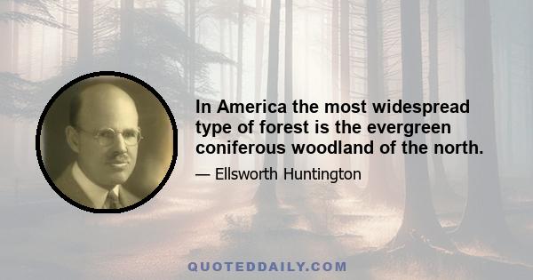 In America the most widespread type of forest is the evergreen coniferous woodland of the north.