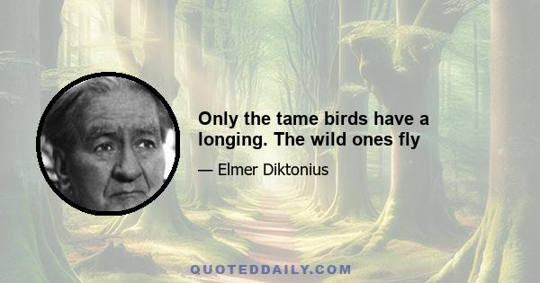 Only the tame birds have a longing. The wild ones fly