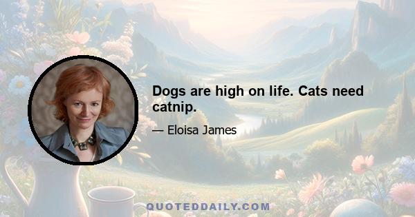 Dogs are high on life. Cats need catnip.