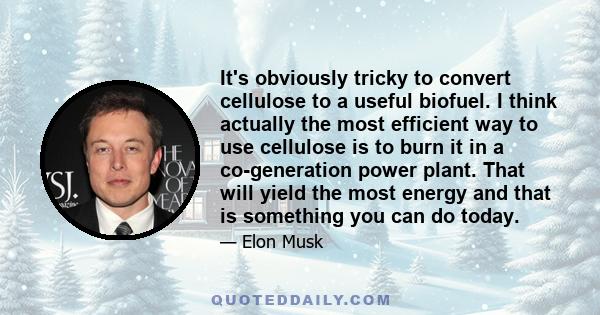 It's obviously tricky to convert cellulose to a useful biofuel. I think actually the most efficient way to use cellulose is to burn it in a co-generation power plant. That will yield the most energy and that is