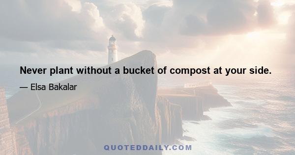 Never plant without a bucket of compost at your side.