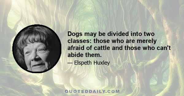 Dogs may be divided into two classes: those who are merely afraid of cattle and those who can't abide them.