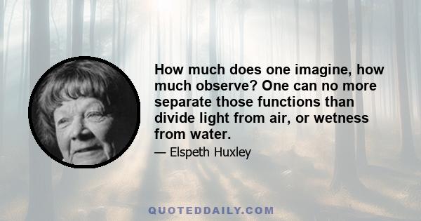 How much does one imagine, how much observe? One can no more separate those functions than divide light from air, or wetness from water.