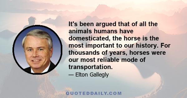 It's been argued that of all the animals humans have domesticated, the horse is the most important to our history. For thousands of years, horses were our most reliable mode of transportation.