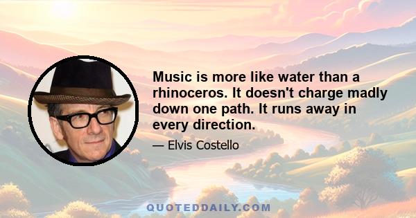 Music is more like water than a rhinoceros. It doesn't charge madly down one path. It runs away in every direction.