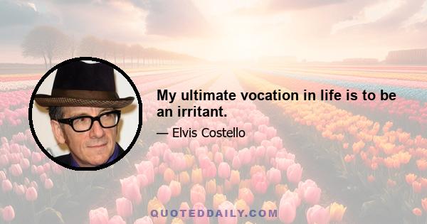 My ultimate vocation in life is to be an irritant.