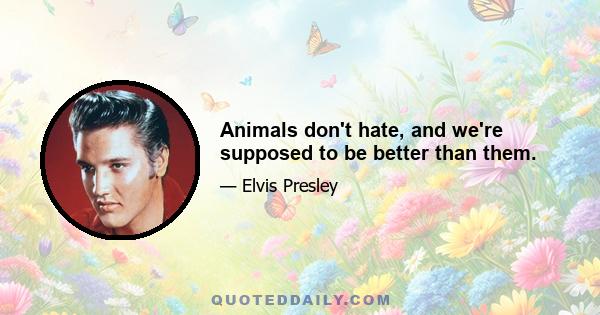 Animals don't hate, and we're supposed to be better than them.