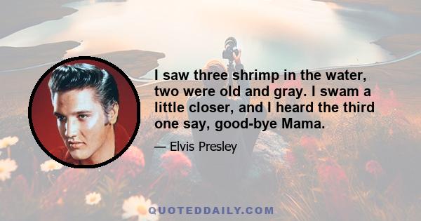 I saw three shrimp in the water, two were old and gray. I swam a little closer, and I heard the third one say, good-bye Mama.