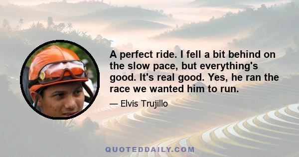 A perfect ride. I fell a bit behind on the slow pace, but everything's good. It's real good. Yes, he ran the race we wanted him to run.