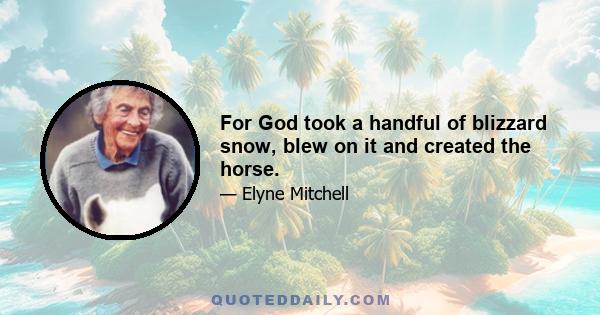 For God took a handful of blizzard snow, blew on it and created the horse.