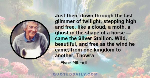 Just then, down through the last glimmer of twilight, stepping high and free, like a cloud, a moth, a ghost in the shape of a horse — came the Silver Stallion. Wild, beautiful, and free as the wind he came, from one