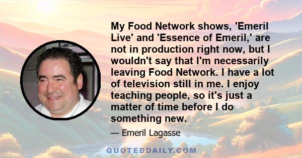 My Food Network shows, 'Emeril Live' and 'Essence of Emeril,' are not in production right now, but I wouldn't say that I'm necessarily leaving Food Network. I have a lot of television still in me. I enjoy teaching