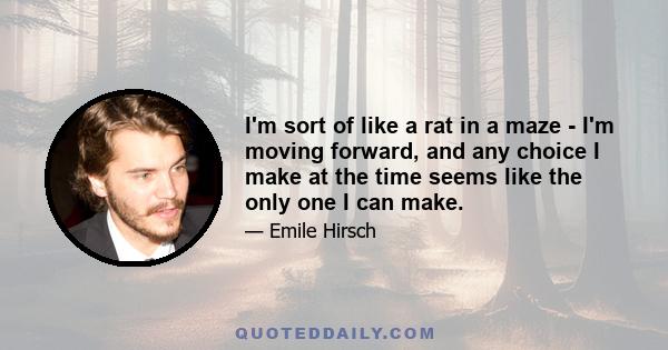 I'm sort of like a rat in a maze - I'm moving forward, and any choice I make at the time seems like the only one I can make.