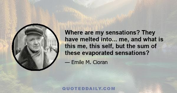 Where are my sensations? They have melted into... me, and what is this me, this self, but the sum of these evaporated sensations?