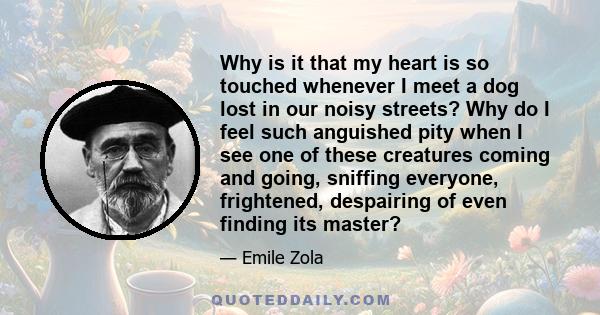 Why is it that my heart is so touched whenever I meet a dog lost in our noisy streets? Why do I feel such anguished pity when I see one of these creatures coming and going, sniffing everyone, frightened, despairing of