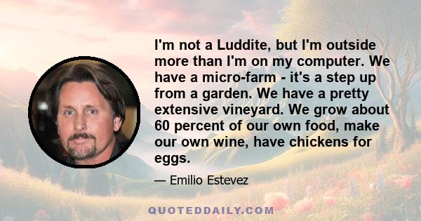 I'm not a Luddite, but I'm outside more than I'm on my computer. We have a micro-farm - it's a step up from a garden. We have a pretty extensive vineyard. We grow about 60 percent of our own food, make our own wine,