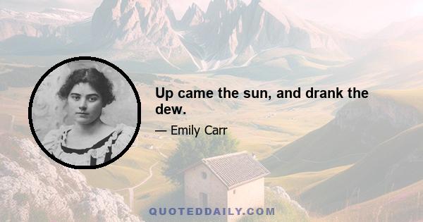 Up came the sun, and drank the dew.