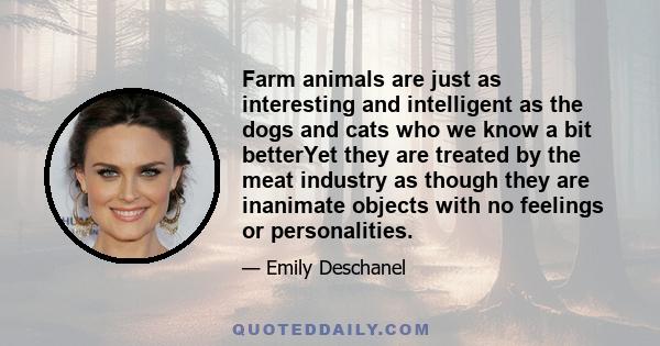 Farm animals are just as interesting and intelligent as the dogs and cats who we know a bit betterYet they are treated by the meat industry as though they are inanimate objects with no feelings or personalities.