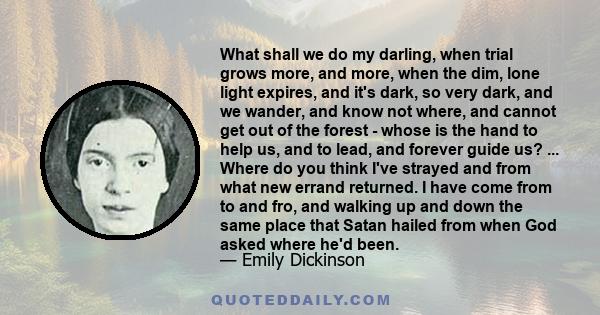 What shall we do my darling, when trial grows more, and more, when the dim, lone light expires, and it's dark, so very dark, and we wander, and know not where, and cannot get out of the forest - whose is the hand to