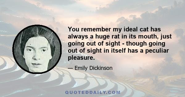 You remember my ideal cat has always a huge rat in its mouth, just going out of sight - though going out of sight in itself has a peculiar pleasure.