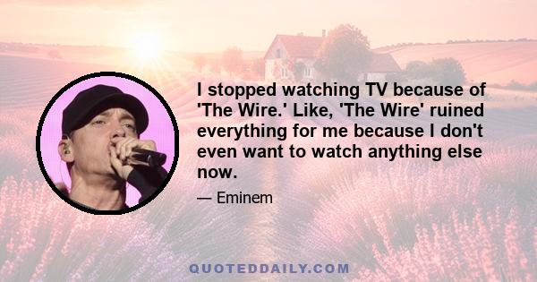 I stopped watching TV because of 'The Wire.' Like, 'The Wire' ruined everything for me because I don't even want to watch anything else now.