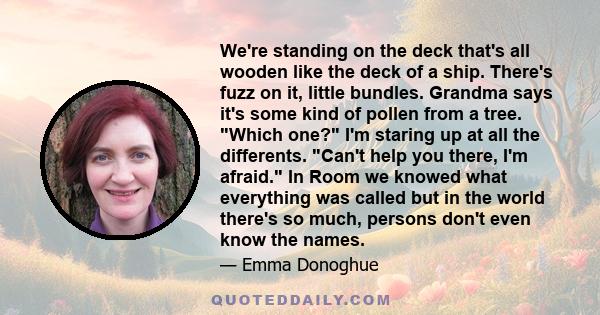 We're standing on the deck that's all wooden like the deck of a ship. There's fuzz on it, little bundles. Grandma says it's some kind of pollen from a tree. Which one? I'm staring up at all the differents. Can't help