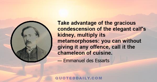 Take advantage of the gracious condescension of the elegant calf's kidney, multiply its metamorphoses: you can without giving it any offence, call it the chameleon of cuisine.