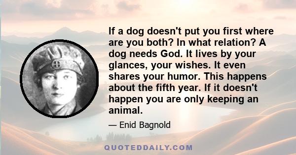 If a dog doesn't put you first where are you both? In what relation? A dog needs God. It lives by your glances, your wishes. It even shares your humor. This happens about the fifth year. If it doesn't happen you are