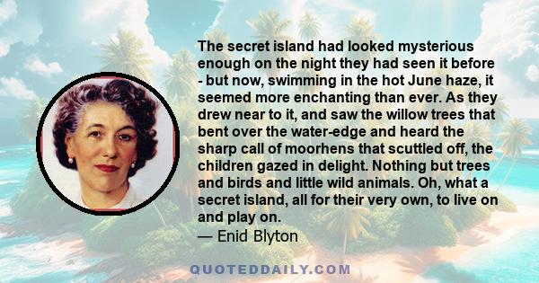 The secret island had looked mysterious enough on the night they had seen it before - but now, swimming in the hot June haze, it seemed more enchanting than ever. As they drew near to it, and saw the willow trees that