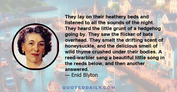 They lay on their heathery beds and listened to all the sounds of the night. They heard the little grunt of a hedgehog going by. They saw the flicker of bats overhead. They smelt the drifting scent of honeysuckle, and