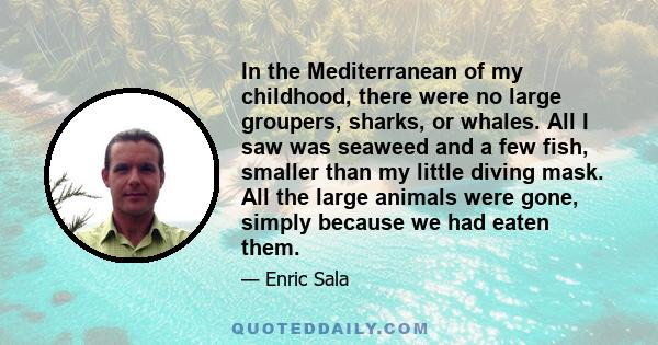 In the Mediterranean of my childhood, there were no large groupers, sharks, or whales. All I saw was seaweed and a few fish, smaller than my little diving mask. All the large animals were gone, simply because we had