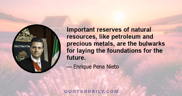 Important reserves of natural resources, like petroleum and precious metals, are the bulwarks for laying the foundations for the future.