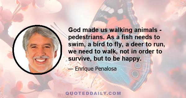 God made us walking animals - pedestrians. As a fish needs to swim, a bird to fly, a deer to run, we need to walk, not in order to survive, but to be happy.