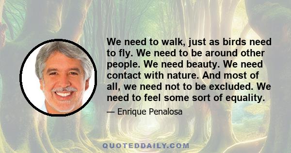 We need to walk, just as birds need to fly. We need to be around other people. We need beauty. We need contact with nature. And most of all, we need not to be excluded. We need to feel some sort of equality.