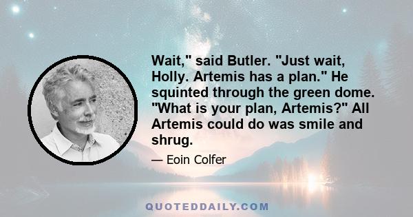 Wait, said Butler. Just wait, Holly. Artemis has a plan. He squinted through the green dome. What is your plan, Artemis? All Artemis could do was smile and shrug.