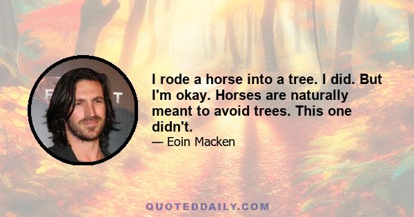 I rode a horse into a tree. I did. But I'm okay. Horses are naturally meant to avoid trees. This one didn't.