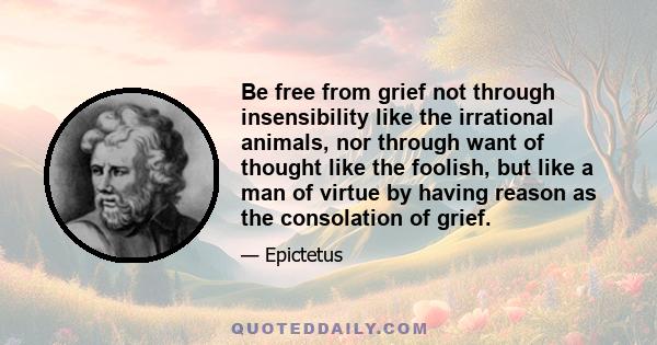 Be free from grief not through insensibility like the irrational animals, nor through want of thought like the foolish, but like a man of virtue by having reason as the consolation of grief.