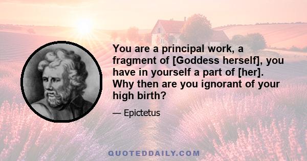 You are a principal work, a fragment of [Goddess herself], you have in yourself a part of [her]. Why then are you ignorant of your high birth?