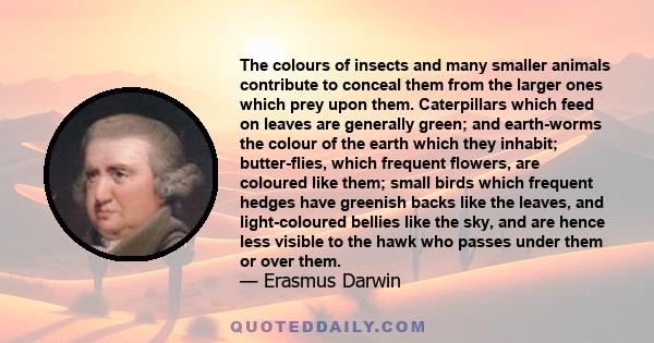 The colours of insects and many smaller animals contribute to conceal them from the larger ones which prey upon them. Caterpillars which feed on leaves are generally green; and earth-worms the colour of the earth which