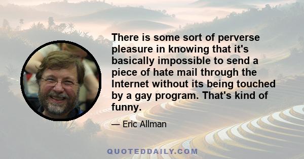 There is some sort of perverse pleasure in knowing that it's basically impossible to send a piece of hate mail through the Internet without its being touched by a gay program. That's kind of funny.