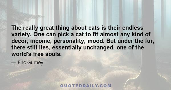 The really great thing about cats is their endless variety. One can pick a cat to fit almost any kind of decor, income, personality, mood. But under the fur, there still lies, essentially unchanged, one of the world's