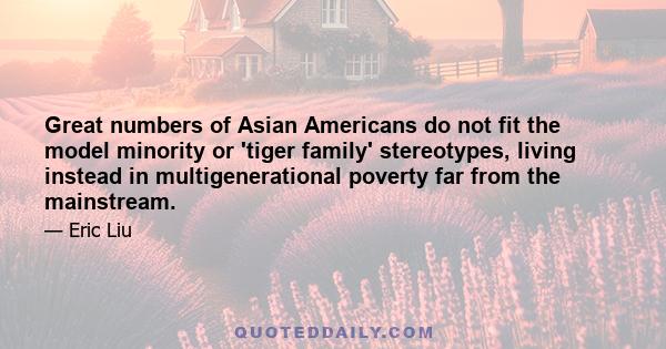 Great numbers of Asian Americans do not fit the model minority or 'tiger family' stereotypes, living instead in multigenerational poverty far from the mainstream.