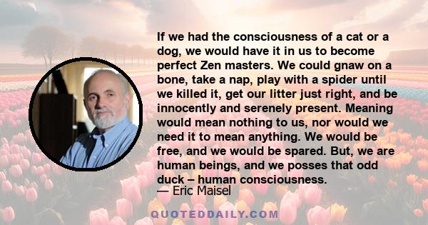 If we had the consciousness of a cat or a dog, we would have it in us to become perfect Zen masters. We could gnaw on a bone, take a nap, play with a spider until we killed it, get our litter just right, and be