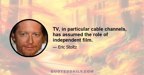 TV, in particular cable channels, has assumed the role of independent film.