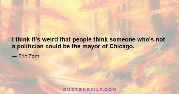 I think it's weird that people think someone who's not a politician could be the mayor of Chicago.