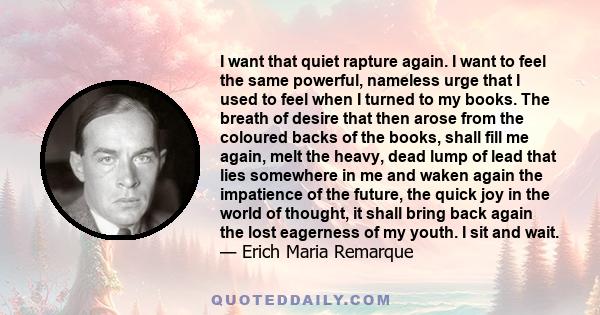 I want that quiet rapture again. I want to feel the same powerful, nameless urge that I used to feel when I turned to my books. The breath of desire that then arose from the coloured backs of the books, shall fill me