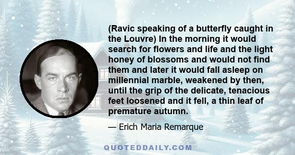 (Ravic speaking of a butterfly caught in the Louvre) In the morning it would search for flowers and life and the light honey of blossoms and would not find them and later it would fall asleep on millennial marble,