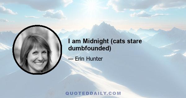 I am Midnight (cats stare dumbfounded)